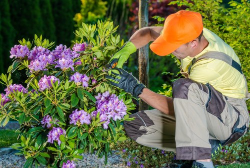 Gardeners Woolwich team at work in a residential garden