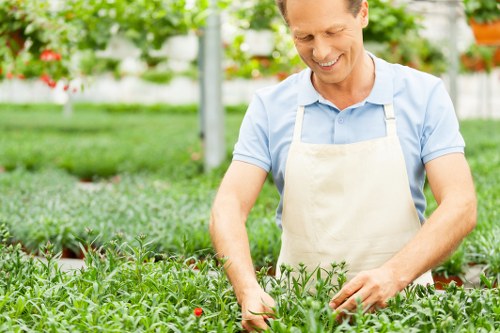 Insurance documents and certificate for an insured gardening company