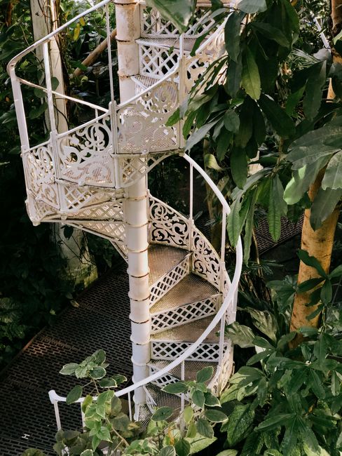 A white metal spiral staircase with ornate decorative patterns on the balustrades and steps, situated amidst lush green foliage in a garden. The staircase features a central pole supporting the coilin